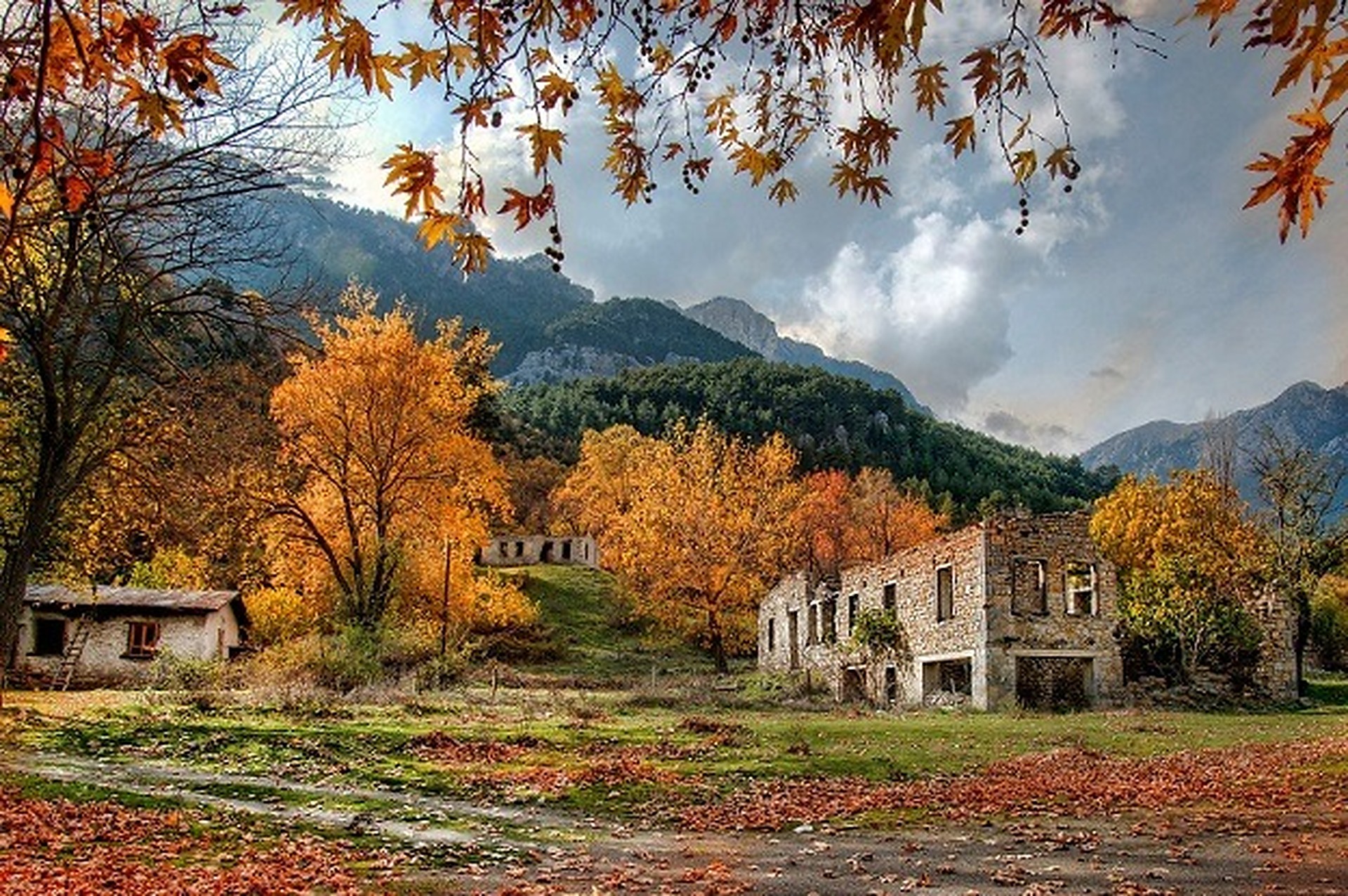 Doğal Arkaplan Fonu
